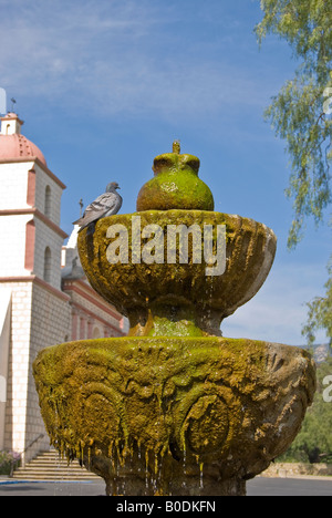 Dove plantschen in Brunnen Stockfoto