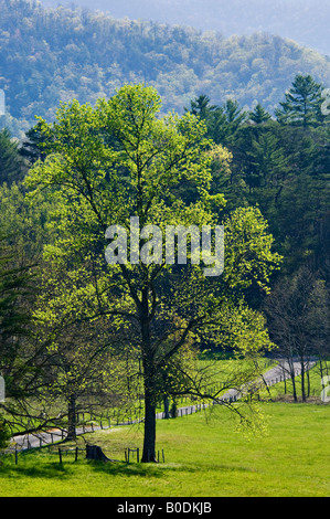 Zaun gesäumten Feldweg in Cades Cove Great Smoky Mountains Nationalpark Tennessee Stockfoto