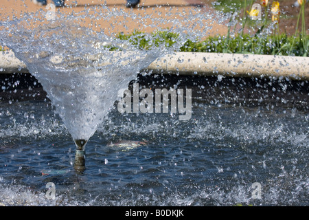 Wasser spritzt aus einem Brunnen inmitten eines Teiches. Stockfoto