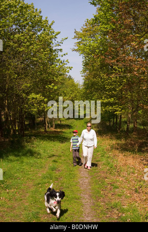 Mutter und Sohn zu Fuß an der Dunwich Forest, Suffolk, Uk Stockfoto