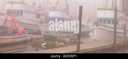 La Push Marina im Nebel Washington Küste Stockfoto