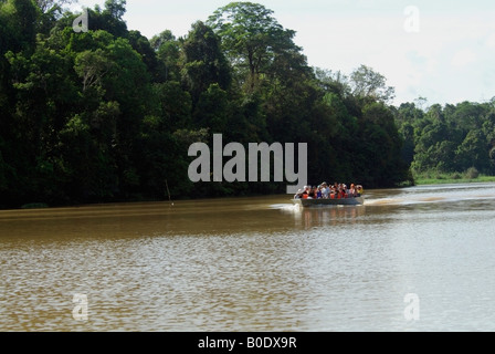 Boot mit Touristen am Kinabatangan Fluss, Sukau, Borneo Stockfoto