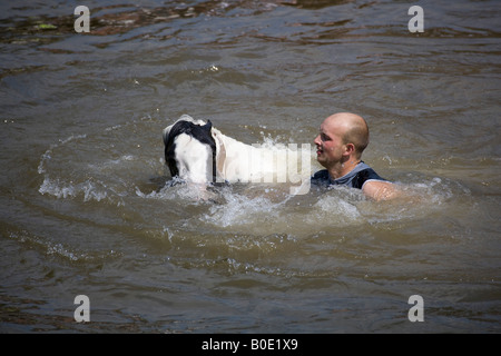 Pferd ertrinken Appleby Fair 2007 3 Stockfoto