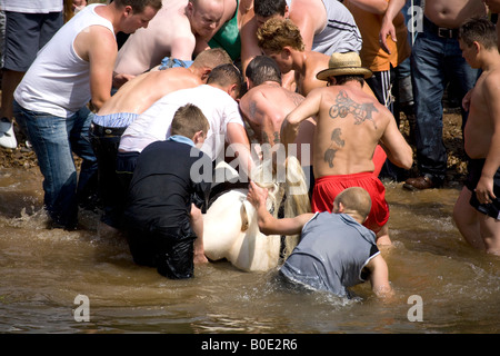 Pferd ertrinken Appleby Fair 2007 12 Stockfoto