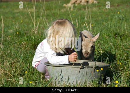 Stock Foto von einem zwei Jahre alten blond behaarte Mädchen helfen, ein Lamm T zu ernähren Stockfoto