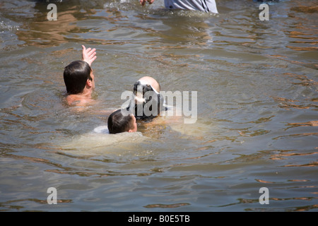 Pferd ertrinken Appleby Fair 2007 5 Stockfoto