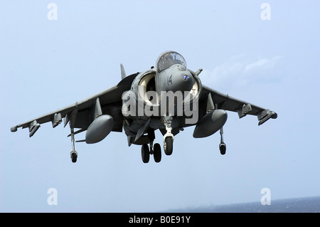 Ein AV-8 b Harrier II zugeordnet die Bulldogs der Marine Angriff Geschwader zwei zwei drei Stockfoto