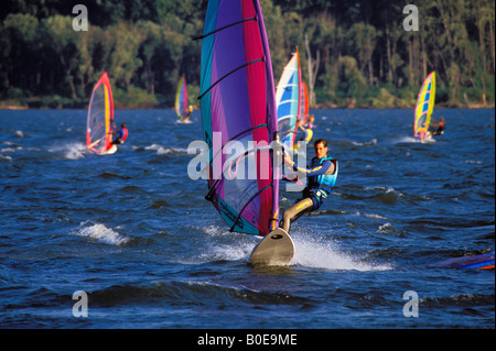 Windsurfen in der Brüterei in der Nähe von Hood River Columbia River Gorge Washington Stockfoto