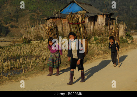 Sin Chai, Bergvolk Kinder helfen in Bereichen Stockfoto