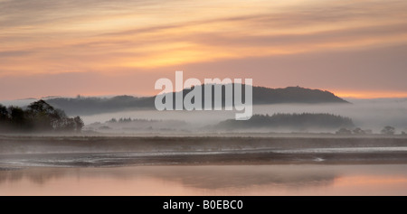 Flussmündung Misty Dawn Stockfoto