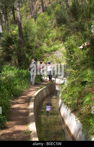 Gruppe von Wanderern, die für eine Pause anhalten, während sie die Levadas auf der Insel Madeira folgen. Stockfoto