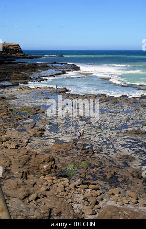 Curio Bay Haere Mai Strand zeigt versteinerte Wald bleibt der Catlins Panoramafahrt Südinsel Neuseeland Stockfoto