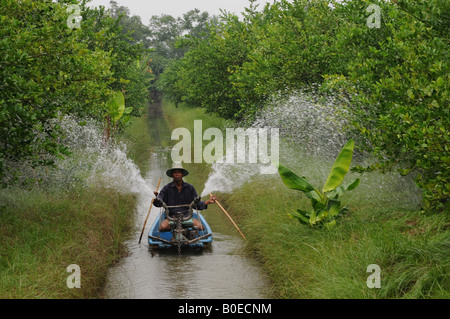 Samut Sakhon Obsthof, Bewässerung mit Kanalboot Stockfoto