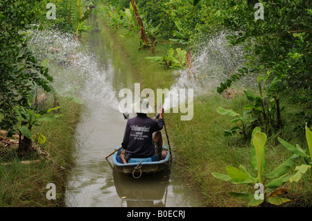 Samut Sakhon, Kanal, Landwirtschaft, Rose Apfelgarten Stockfoto