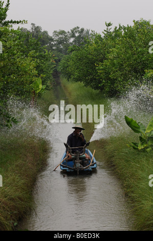 Samut Sakhon, Kanal, Landwirtschaft, Bewässerung Rose Apfelbaum Stockfoto