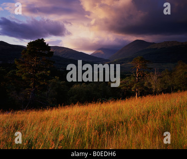 Herbst Sonnenuntergang, Tyndrum, Argyll, Schottland, Vereinigtes Königreich. Stockfoto