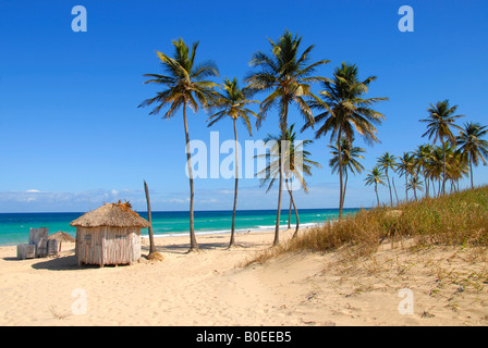 Palmen und eine Hütte am Strand Playa del Este, Havanna, Kuba Stockfoto