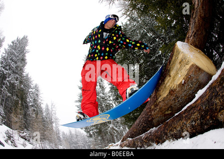 Snowboarder gleitet einen Baum in den französischen Alpen Stockfoto