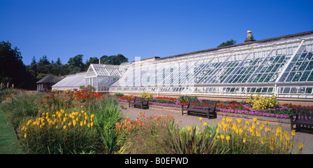 Das Weingut Gewächshaus Culzean Castle Gardens, South Ayrshire, Schottland, Vereinigtes Königreich. Stockfoto