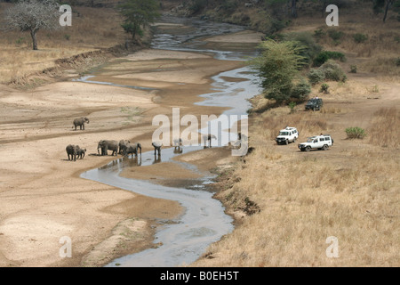 Elefanten trinken und Baden neben Safari Autos Stockfoto