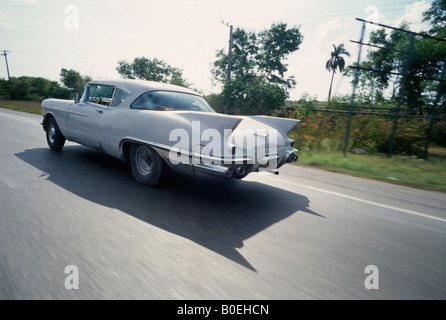 Havanna Kuba alte amerikanische Autos auf der Straße Stockfoto