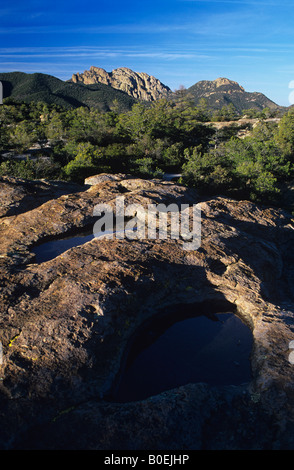 Vulkangestein Schlaglöcher halten Wasser an der Chiricahua National Monument Arizona USA Stockfoto