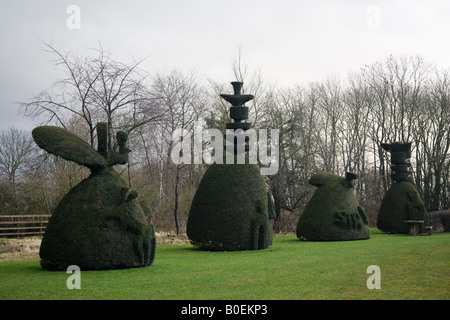 Yew Tree Avenue eine Sammlung von geclippten Eiben in Clipsham Lincolnshire Vereinigtes Königreich Stockfoto