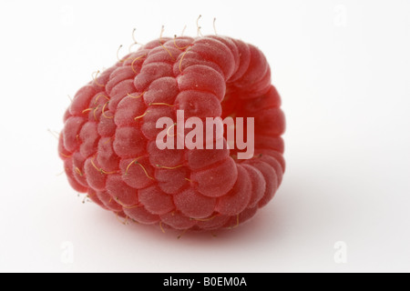 Frische Himbeeren Stockfoto