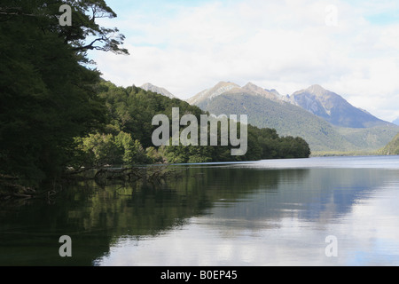 Lake Gunn am Milford Sound Road Fjordland National Park Stockfoto