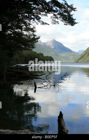 Lake Gunn am Milford Sound Road Fjordland National Park Stockfoto