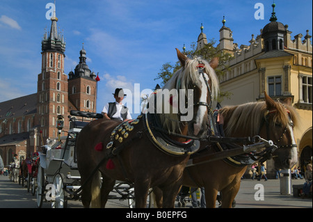 Str. Marys Kirche und Pferdekutsche in Rynek Glowny Stadt Main square Krakau Polen Stockfoto