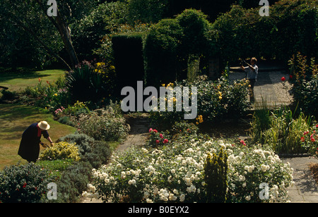 Eine aktive mittleren Alters Mittelklasse-Mann und Frau arbeiten in ihrer großen gepflegten Rosengarten an einem warmen Sommertag s Stockfoto