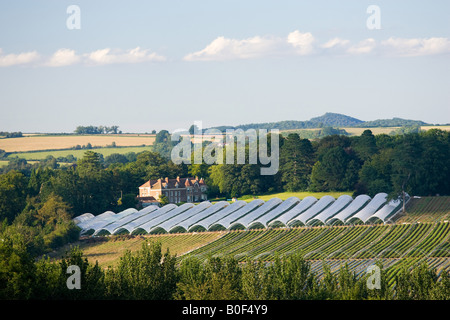 Obst-Tunnel Rahmen an Harewood Ende Herefordshire England Großbritannien Stockfoto