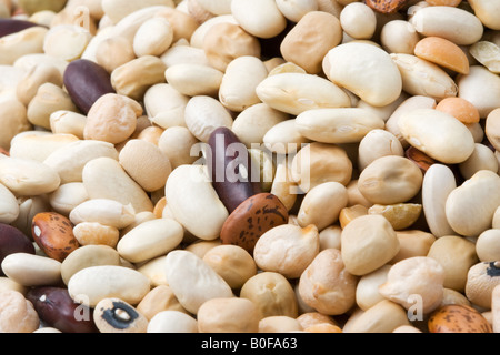 Getrocknete Bohnen und Hülsenfrüchte Stockfoto