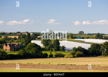 Obst-Tunnel Rahmen an Harewood Ende Herefordshire England Großbritannien Stockfoto