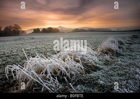 Nähe Richtfest am frostigen und nebligen Morgen von Morton Wohnungen Cleveland Englands Stockfoto