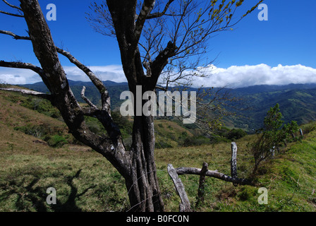 Clearcut Ackerland in der Nähe von Monteverde Nebelwald, Costa Rica Stockfoto