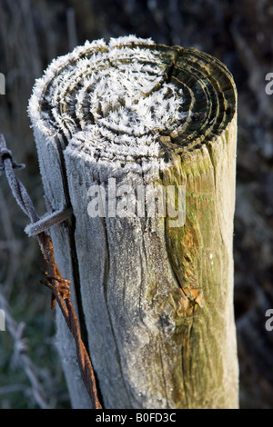 Raureif bedeckt hölzerne Stacheldraht-Zaun Oxfordshire-England-Großbritannien Stockfoto