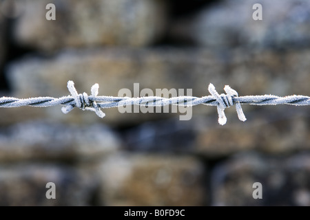 Raureif bedeckt Stacheldraht Oxfordshire-England-Großbritannien Stockfoto