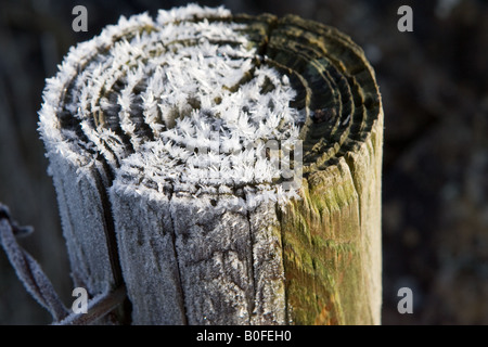 Raureif bedeckt hölzerne Stacheldraht-Zaun Oxfordshire-England-Großbritannien Stockfoto