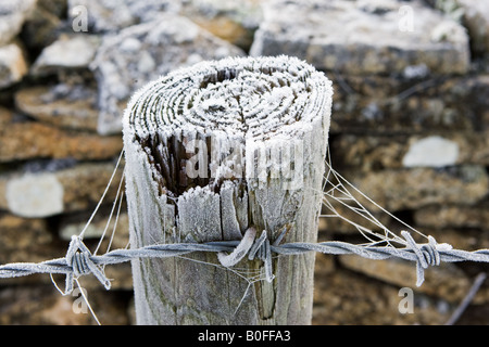 Raureif bedeckt hölzerne Stacheldraht-Zaun Oxfordshire-England-Großbritannien Stockfoto