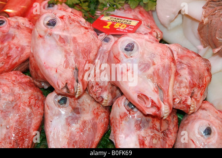 Lamm-Köpfe La Boqueria Markt Barcelona Katalonien Spanien Stockfoto