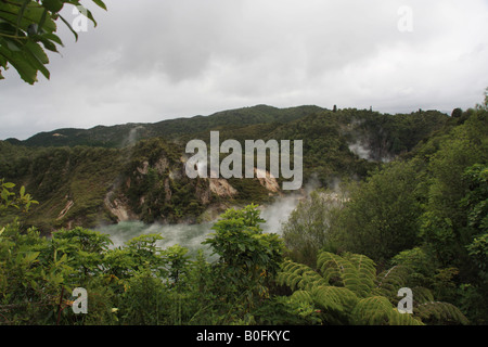 Thermische Anlagen rund um die Pfanne See, Waimangu Volcanic Valley, Rotorua, Neuseeland. Stockfoto