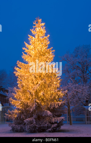Weihnachtsbaum vor dem Landratsamt in Neustift, Freising, Bayern, Deutschland, Europa. Stockfoto