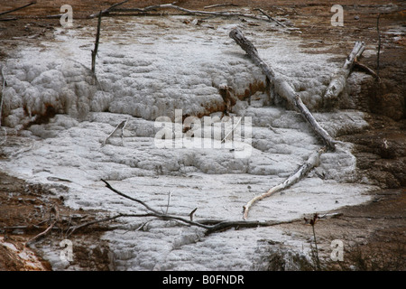 Kaolin-Hang in Waimangu Volcanic Valley, Rotorua, Neuseeland. Stockfoto