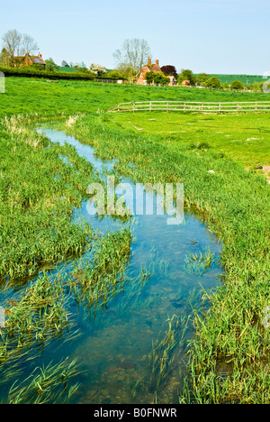 Die Kennet nicht weit von seiner Quelle in Wiltshire England UK EU Stockfoto