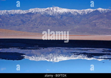 Telescope Peak spiegelt sich in Salz Pool am tiefsten Punkt Badwater im Death Valley Nationalpark Kalifornien Stockfoto