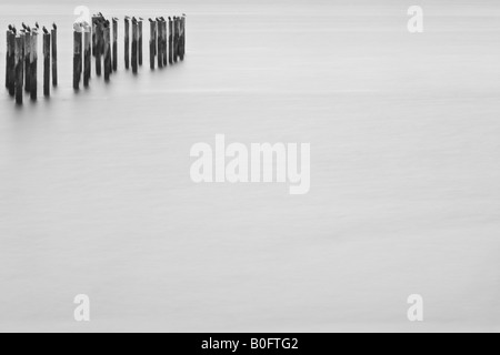 Alten Pier am Point Roberts Stockfoto