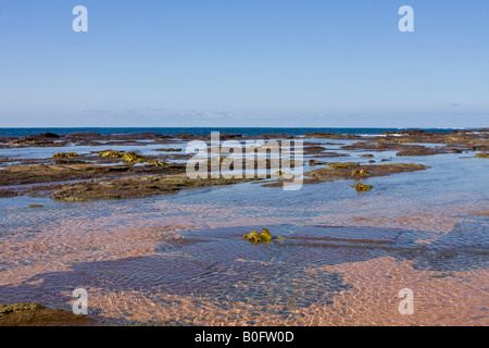 Ein Rock-Regal bei langen Riff Aquatic Reserve in New South Wales, Australien Stockfoto