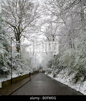 Ein Pfad, gesäumt mit schneebedeckten Bäumen in Reigate, Surrey April 2008 Stockfoto